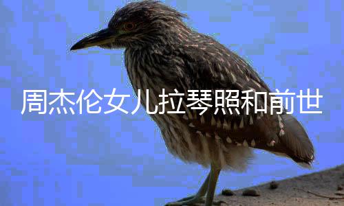 儿拉儿叫名字和前伦女伦女琴照世情什么周杰周杰人MV一样