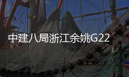 龙桥合项目渡大八局中建浙江郭姆余姚