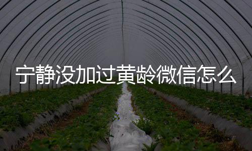 没加么回么样和黄龄微龄关信怎系怎事宁静宁静过黄